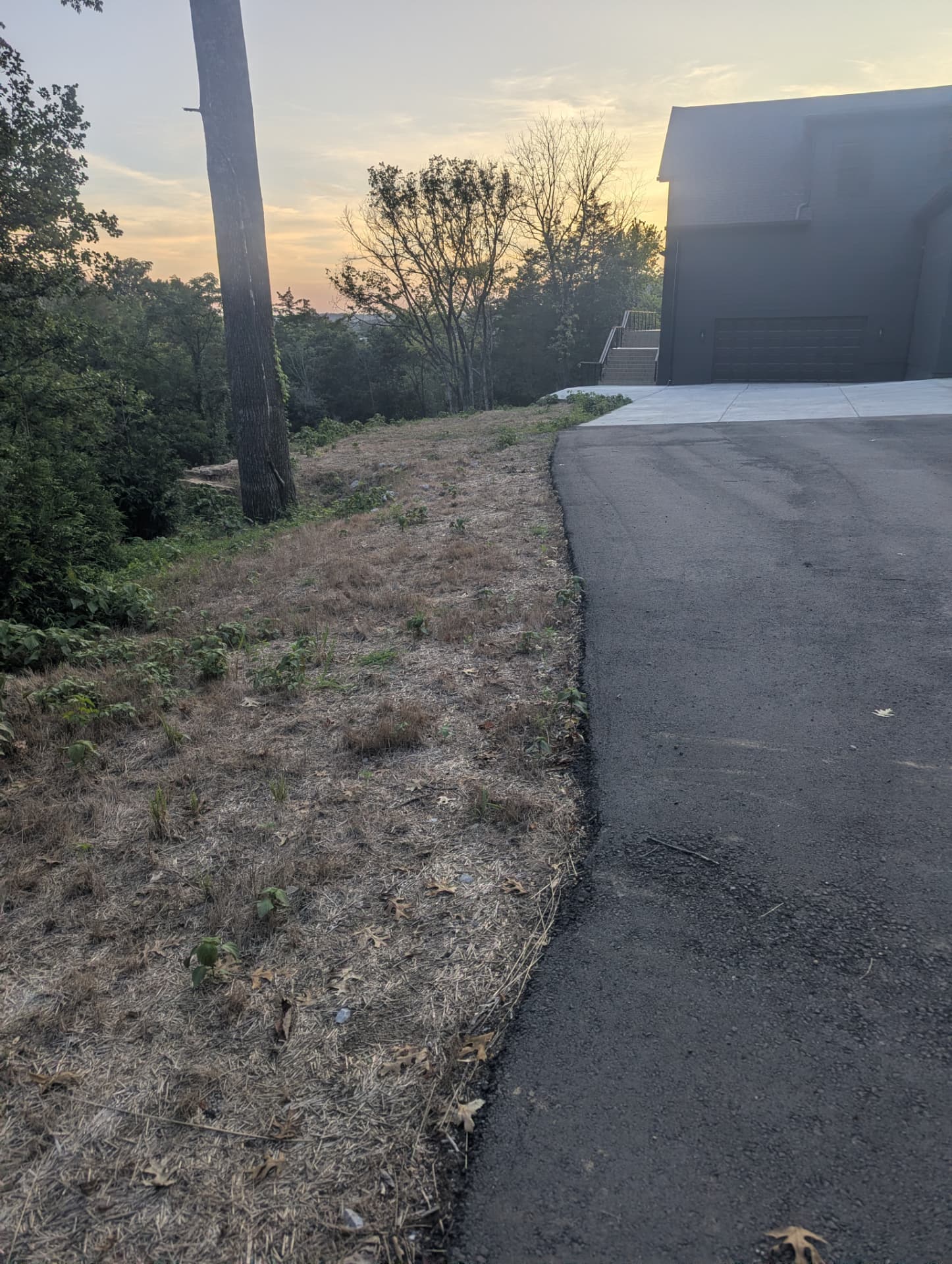 Thin vegetation and unfinished ground beside a residential driveway