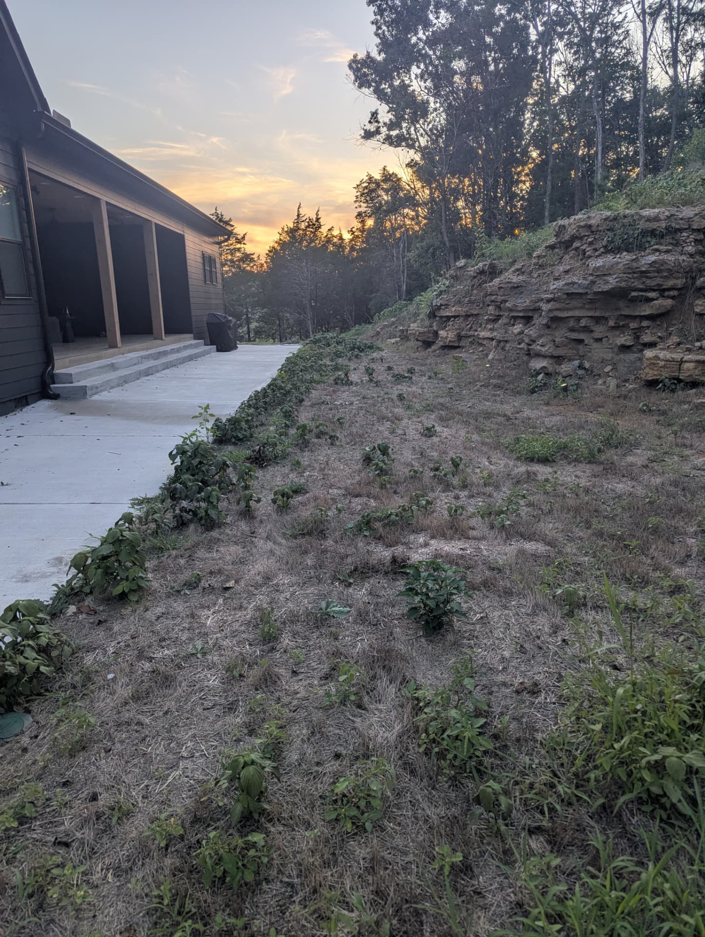 Exposed rock face and hillside beside a residential concrete area