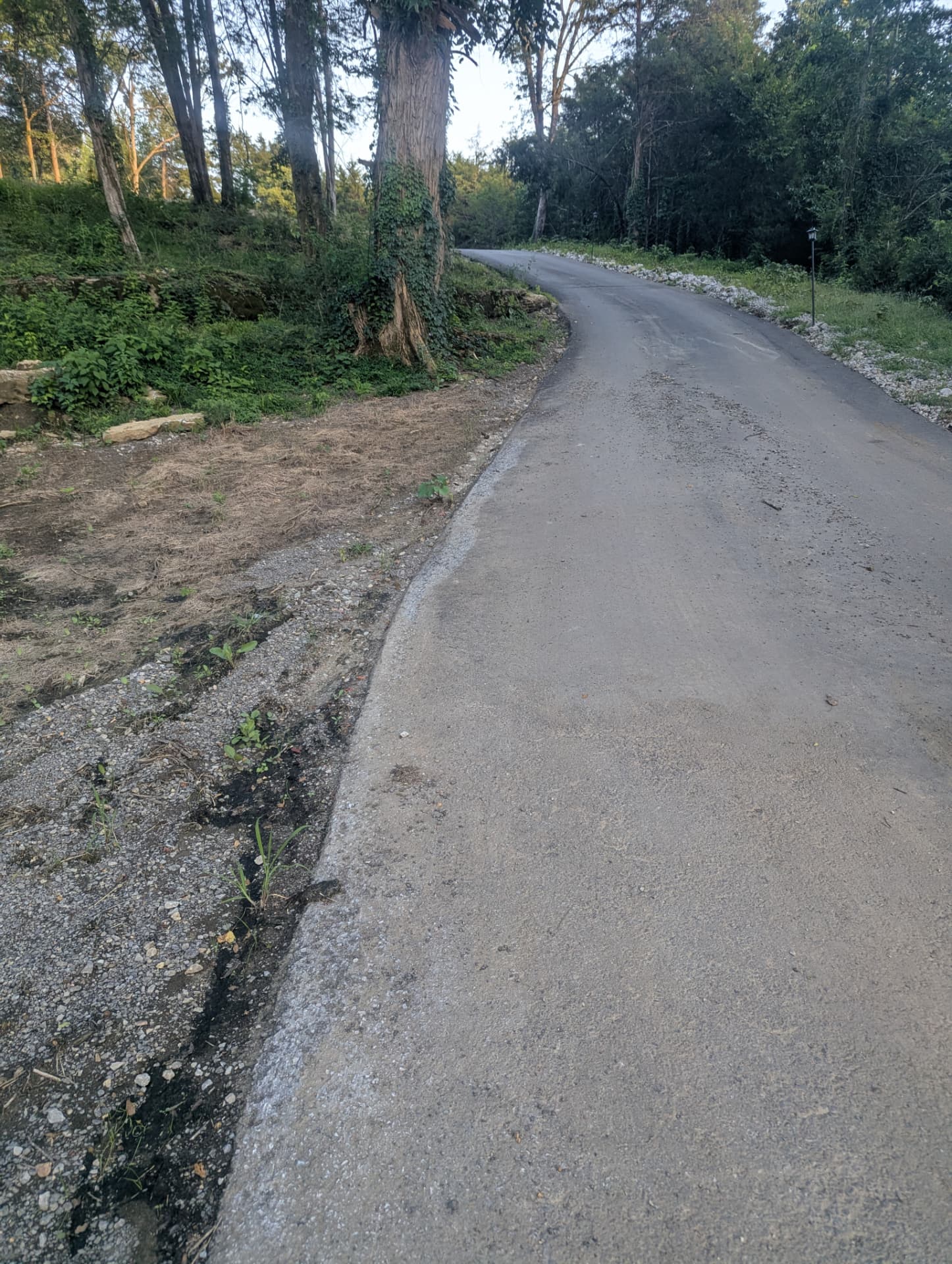 Driveway-edge riprap mixed with soil and small stone in Columbia Tennessee