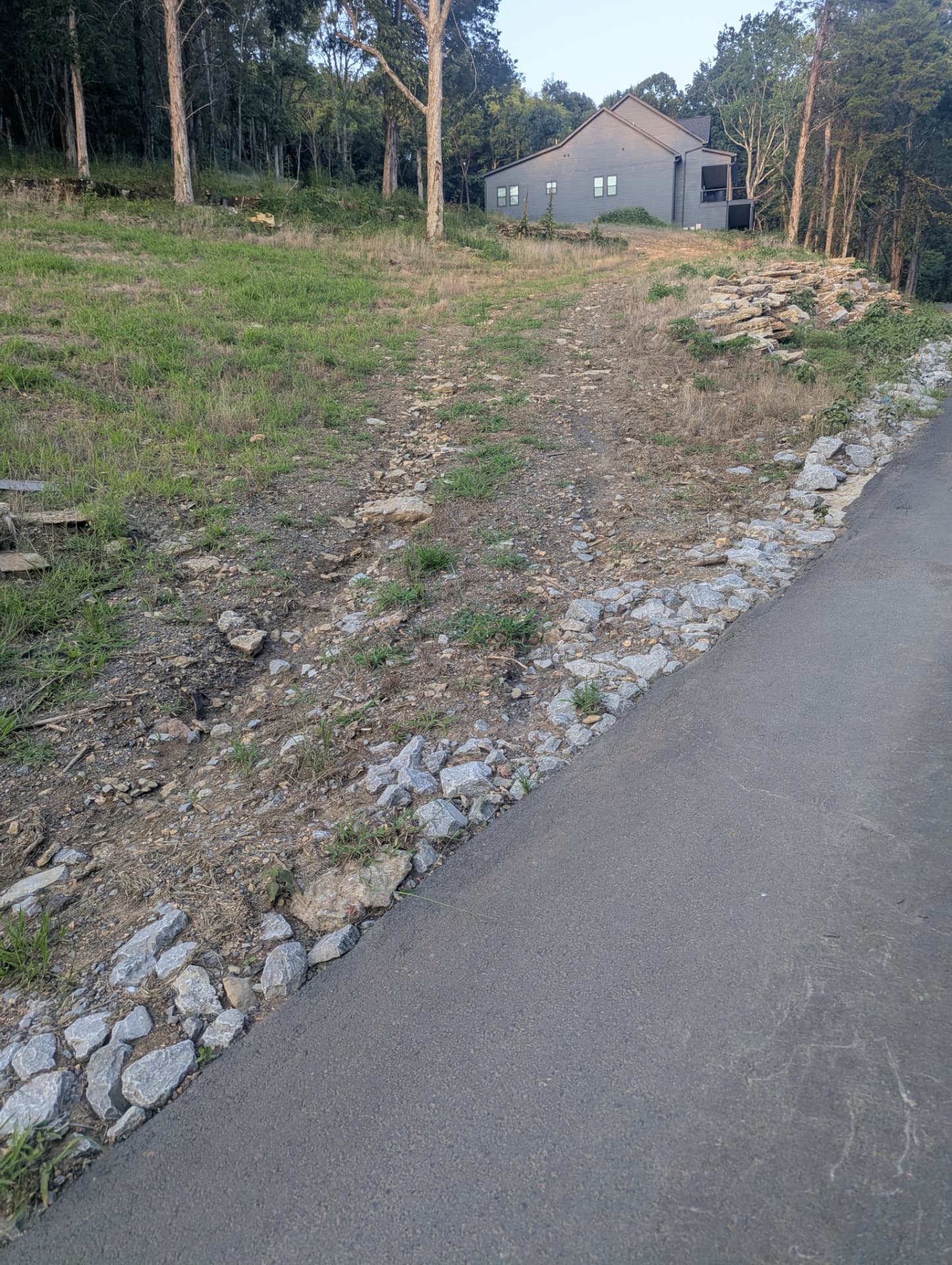 Sloped ground between a paved driveway and home before drainage work