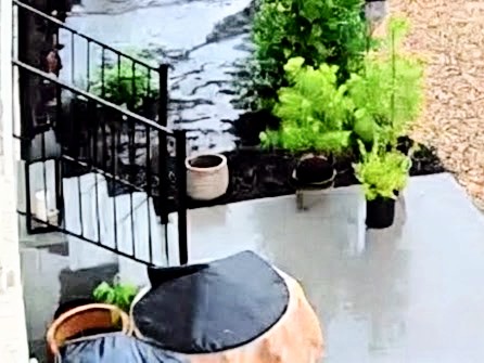 Standing water inside a landscape bed at a Franklin TN home in the Starnes Creek subdivision before drainage and grading work by CANDO LLC