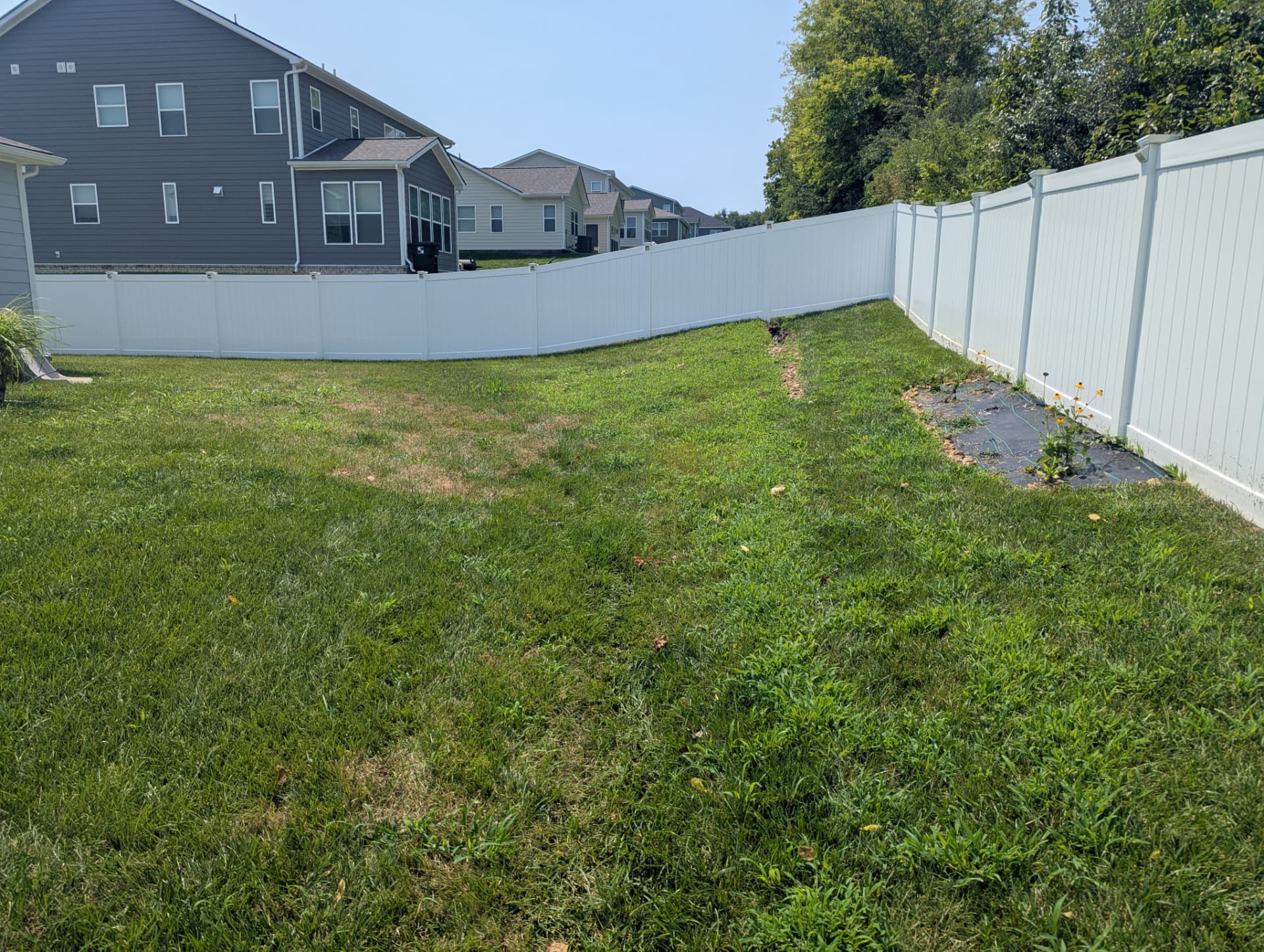 Backyard before drainage grading and erosion correction in Columbia Tennessee