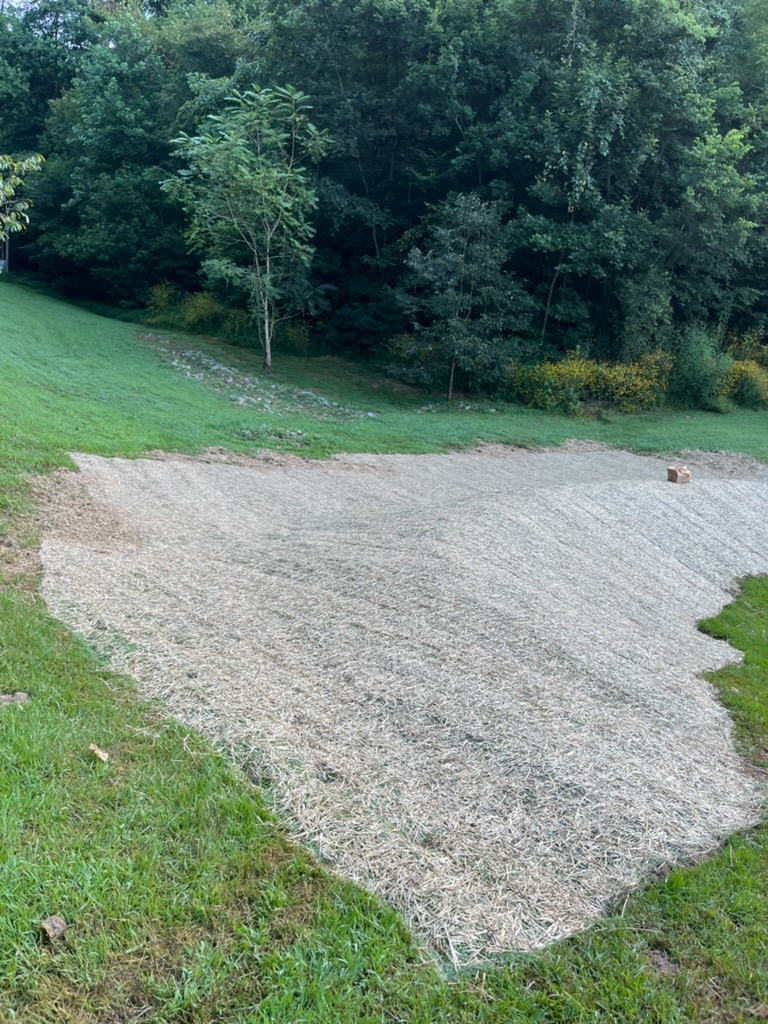 Completed drainage grading and erosion blanket installation near a walkout basement.