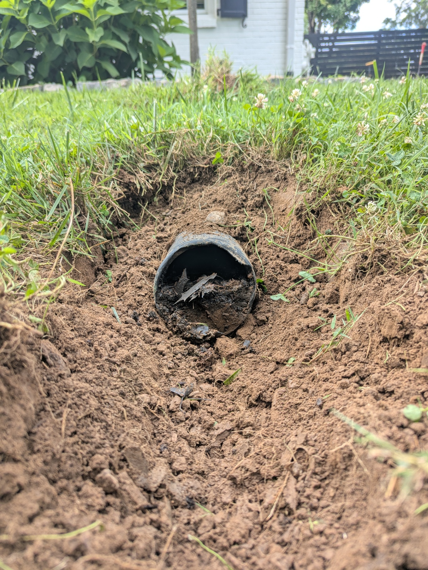 Clogged buried downspout drain line excavated in a Williamson County, TN backyard